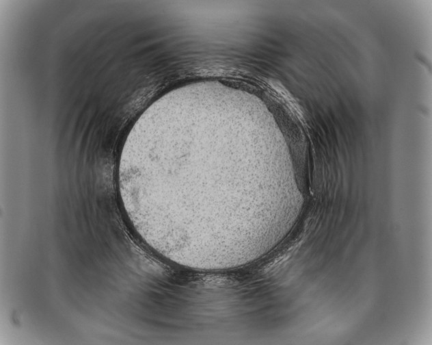 X0000096660441200803041204