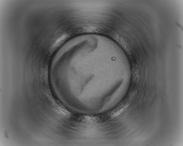 X0000096660442200803041204