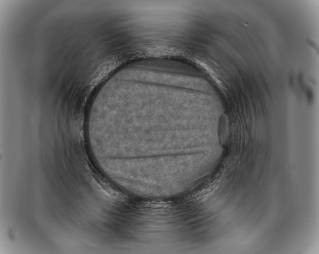 X0000096660443200803041204