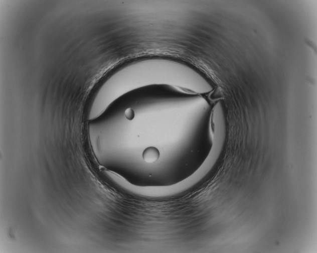 X0000096660444200803041204