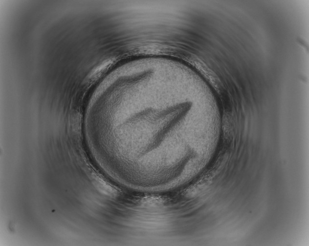 X0000096660445200803041204