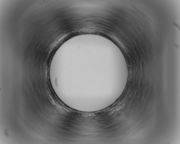 X0000096660446200803041204