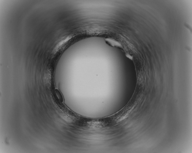 X0000096660448200803041204