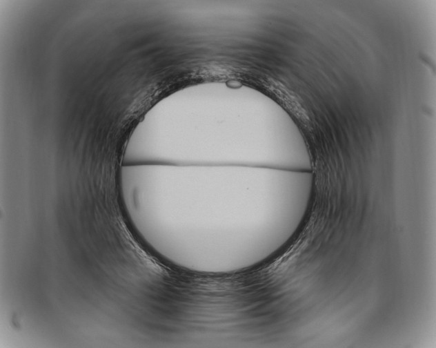 X0000096660449200803041204