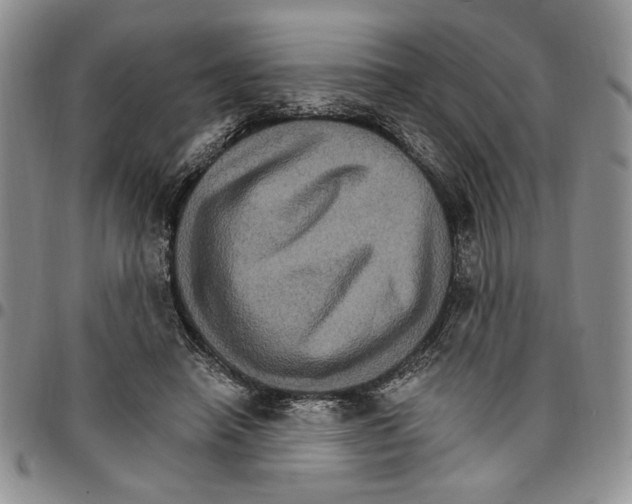 X0000096660450200803041204