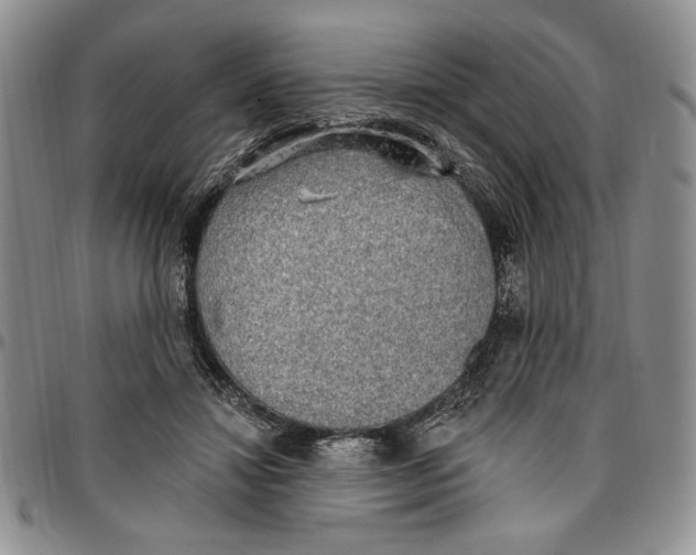 X0000096660452200803041204