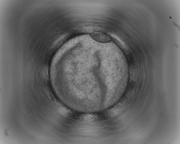 X0000096660453200803041204