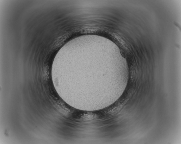 X0000096660455200803041204