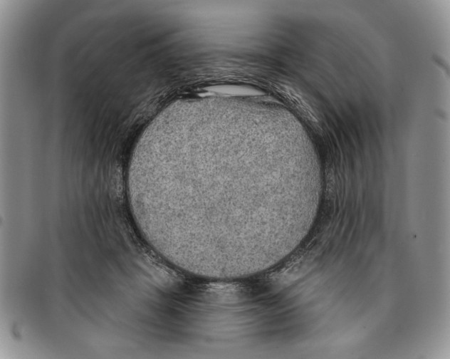 X0000096660457200803041204