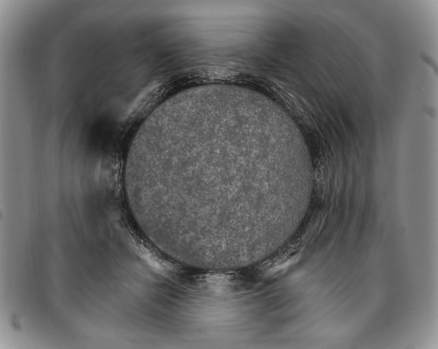 X0000096660462200803041204