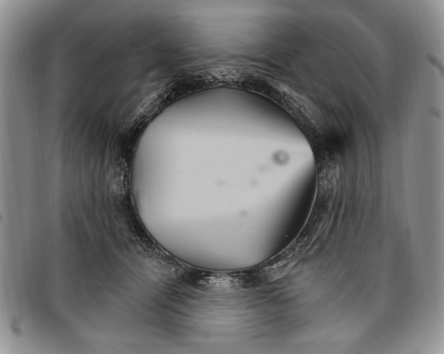 X0000096660464200803041204