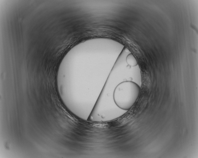 X0000096660465200803041204