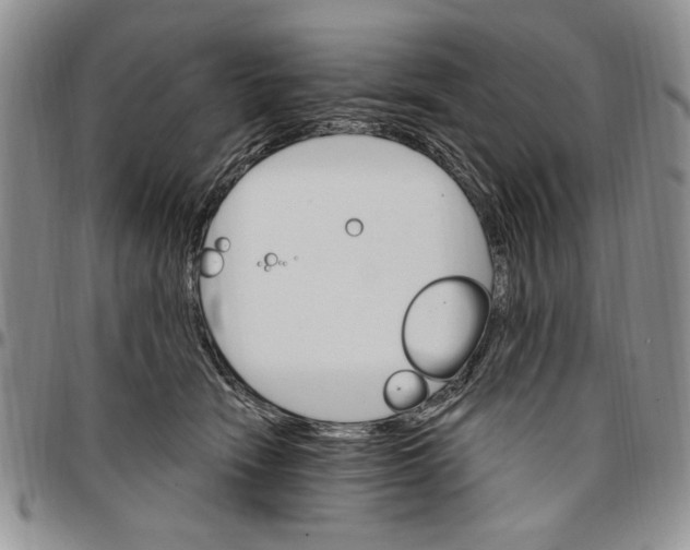 X0000096660466200803041204