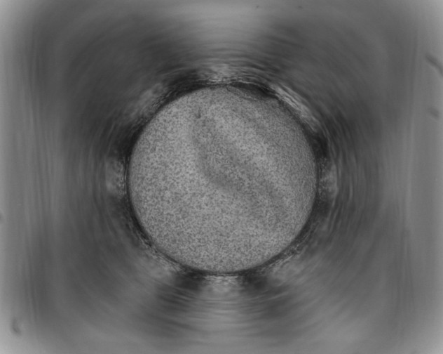 X0000096660469200803041204