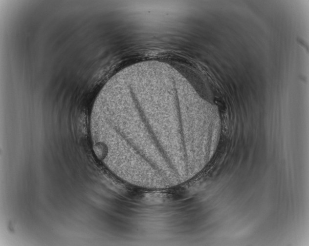 X0000096660470200803041204