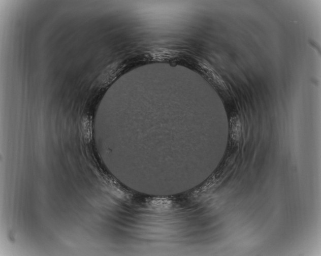 X0000096660471200803041204