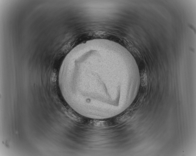 X0000096660472200803041204