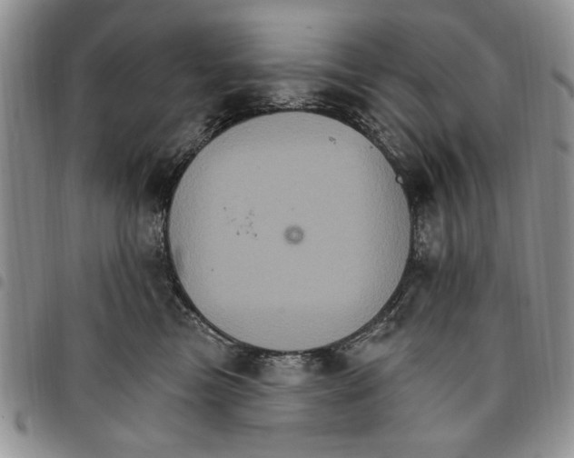 X0000096660473200803041204