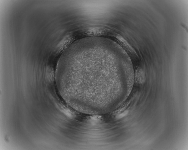 X0000096660474200803041204