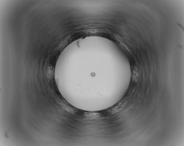 X0000096660476200803041204