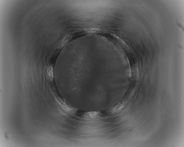 X0000096660479200803041204