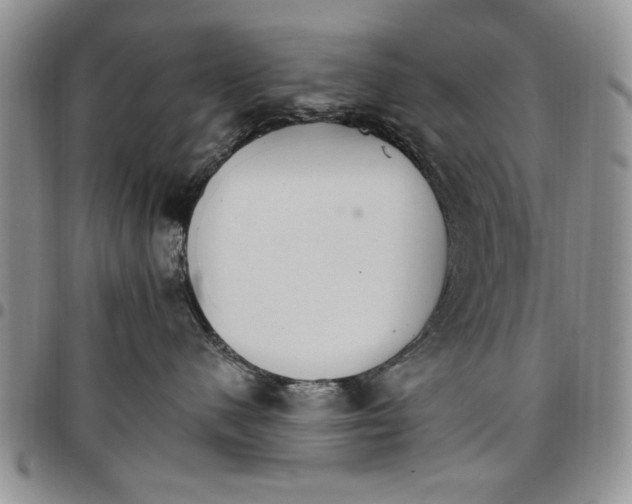 X0000096660480200803041204