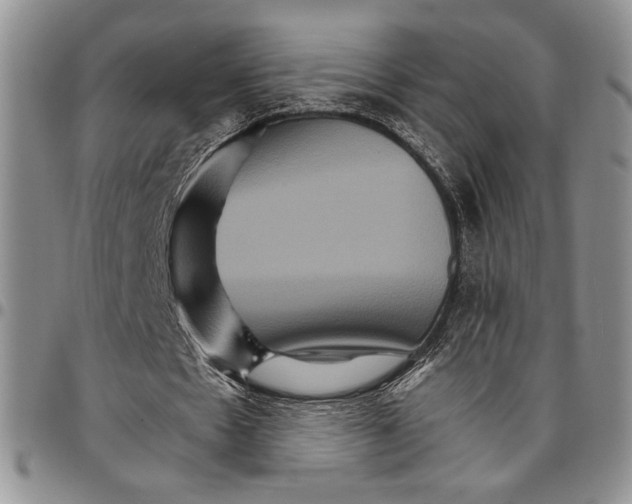 X0000096660481200803041204