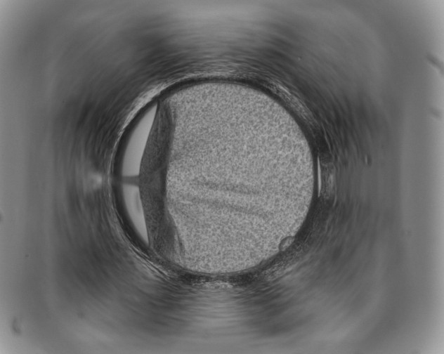 X0000096660483200803041204