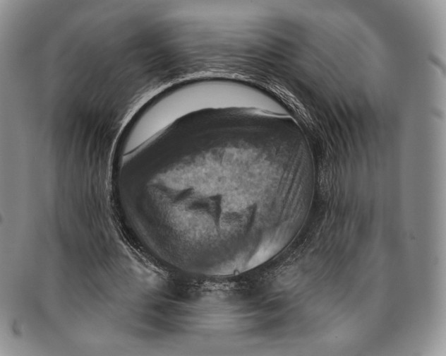 X0000096660484200803041204