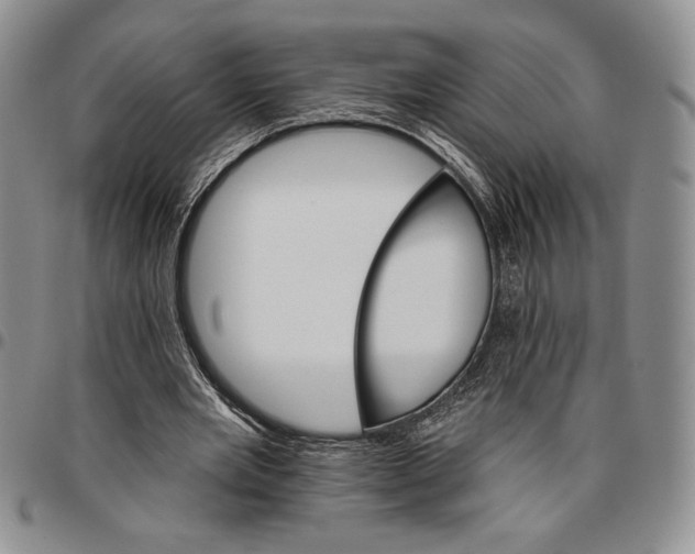 X0000096660485200803041204