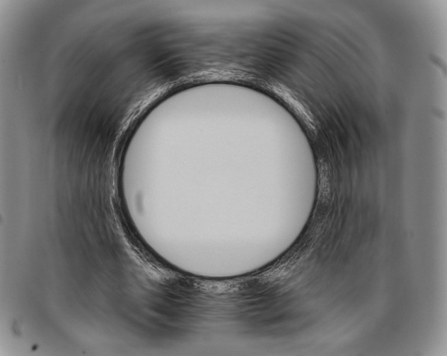 X0000096660486200803041204