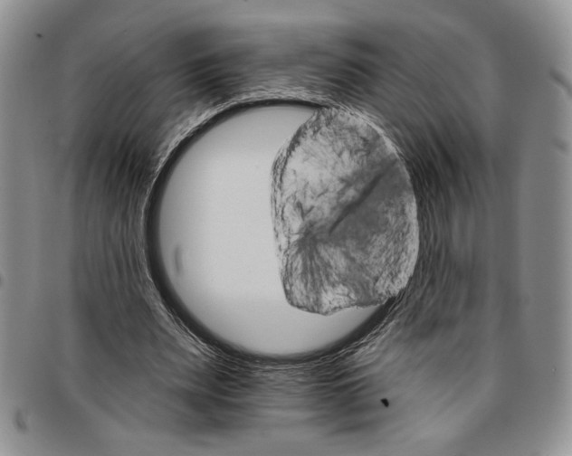 X0000096660487200803041204