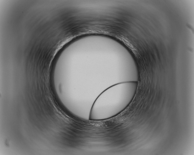 X0000096660488200803041204