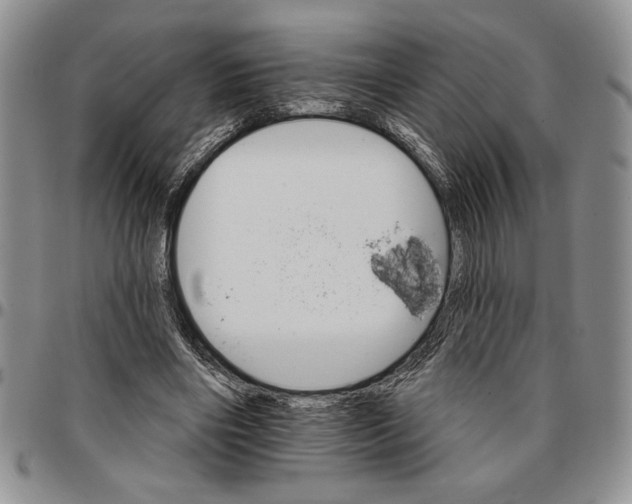 X0000096660490200803041204