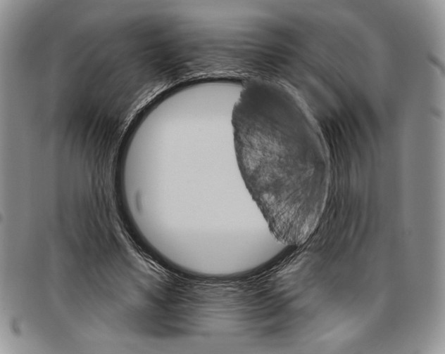 X0000096660491200803041204