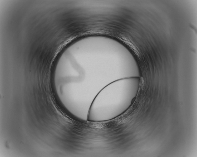 X0000096660492200803041204