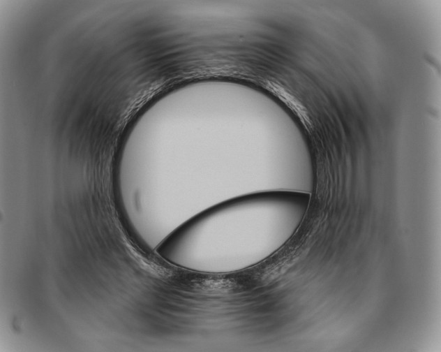 X0000096660493200803041204