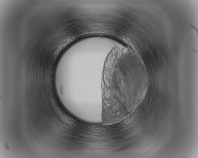 X0000096660495200803041204