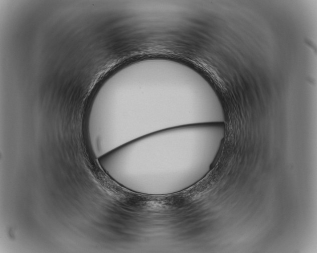 X0000096660496200803041204