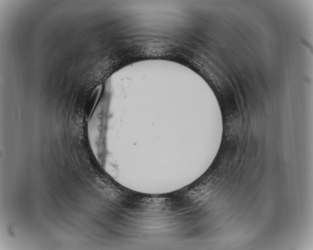 X0000096660497200803041204