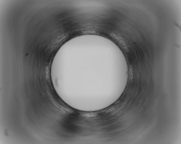 X0000096660498200803041204