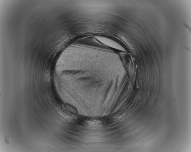 X0000096660500200803041204