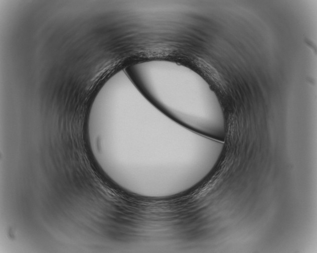 X0000096660501200803041204