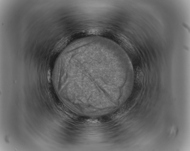 X0000096660502200803041204