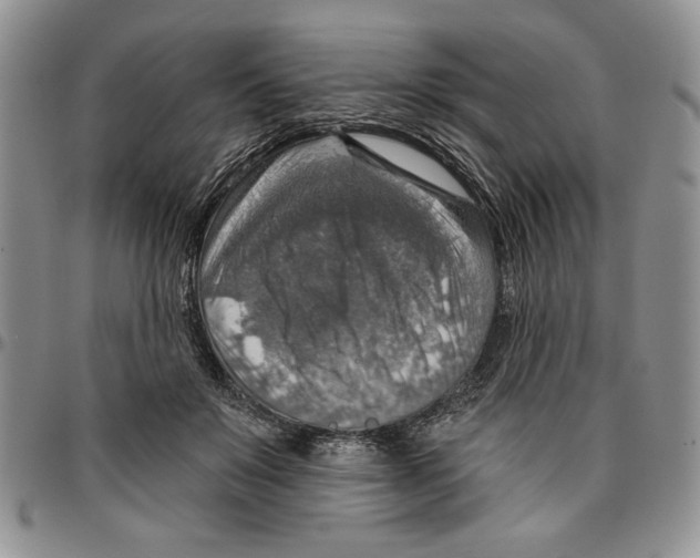 X0000096660503200803041203