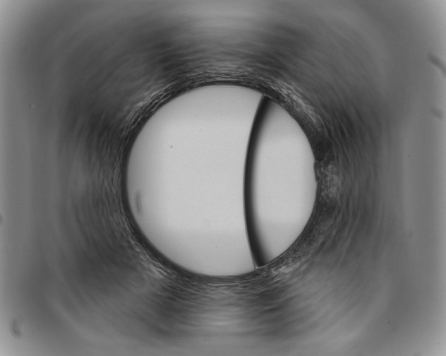 X0000096660505200803041203