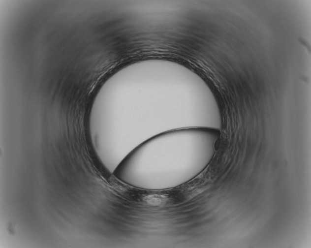 X0000096660508200803041203