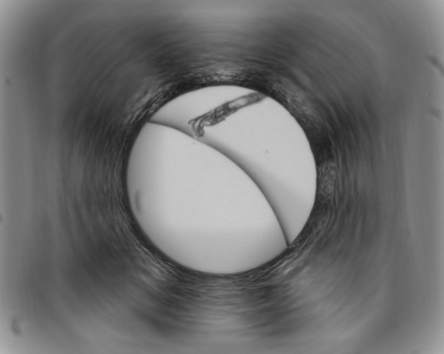 X0000096660509200803041203