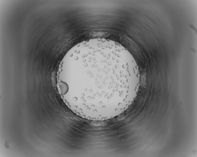 X0000096660510200803041203