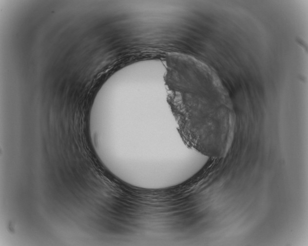 X0000096660511200803041203